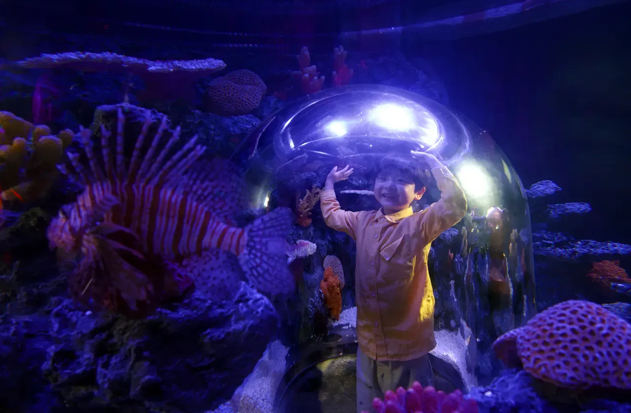 SEA LIFE COEX аквариум