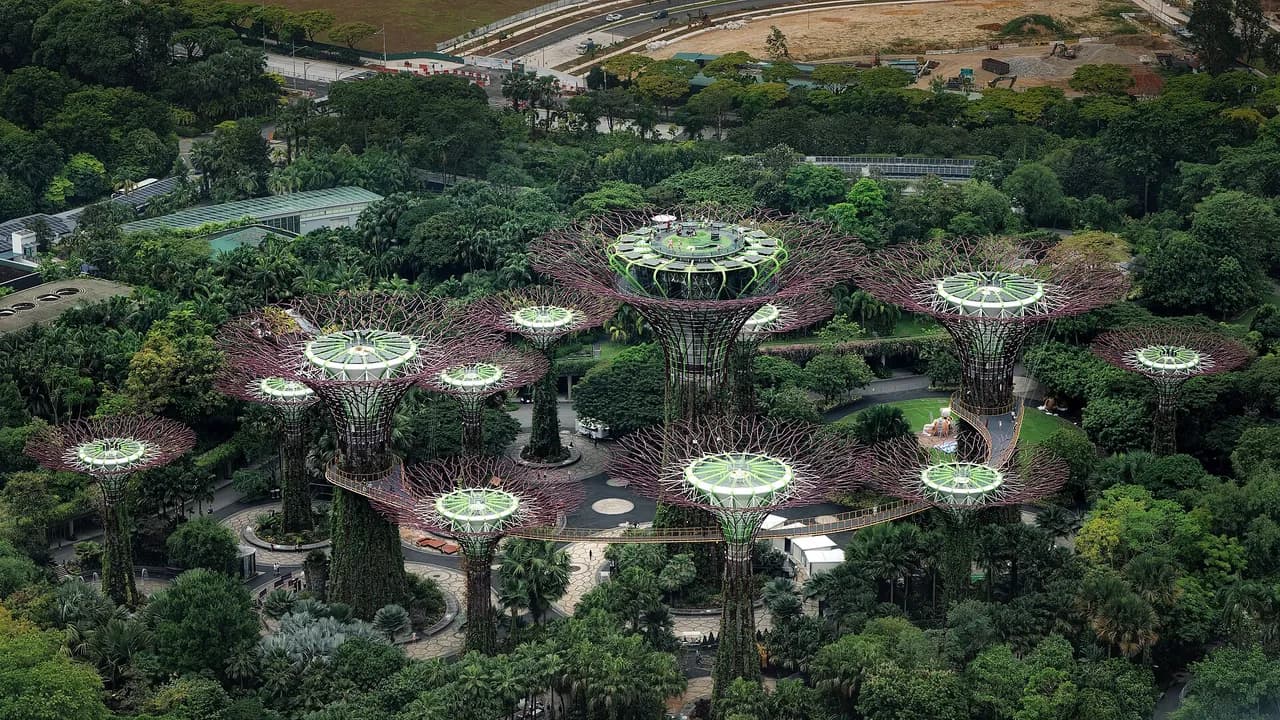 Сингапур хотын аяллын хөтөлбөр