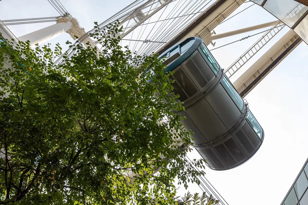 Singapore Flyer (Аварга дугуй)