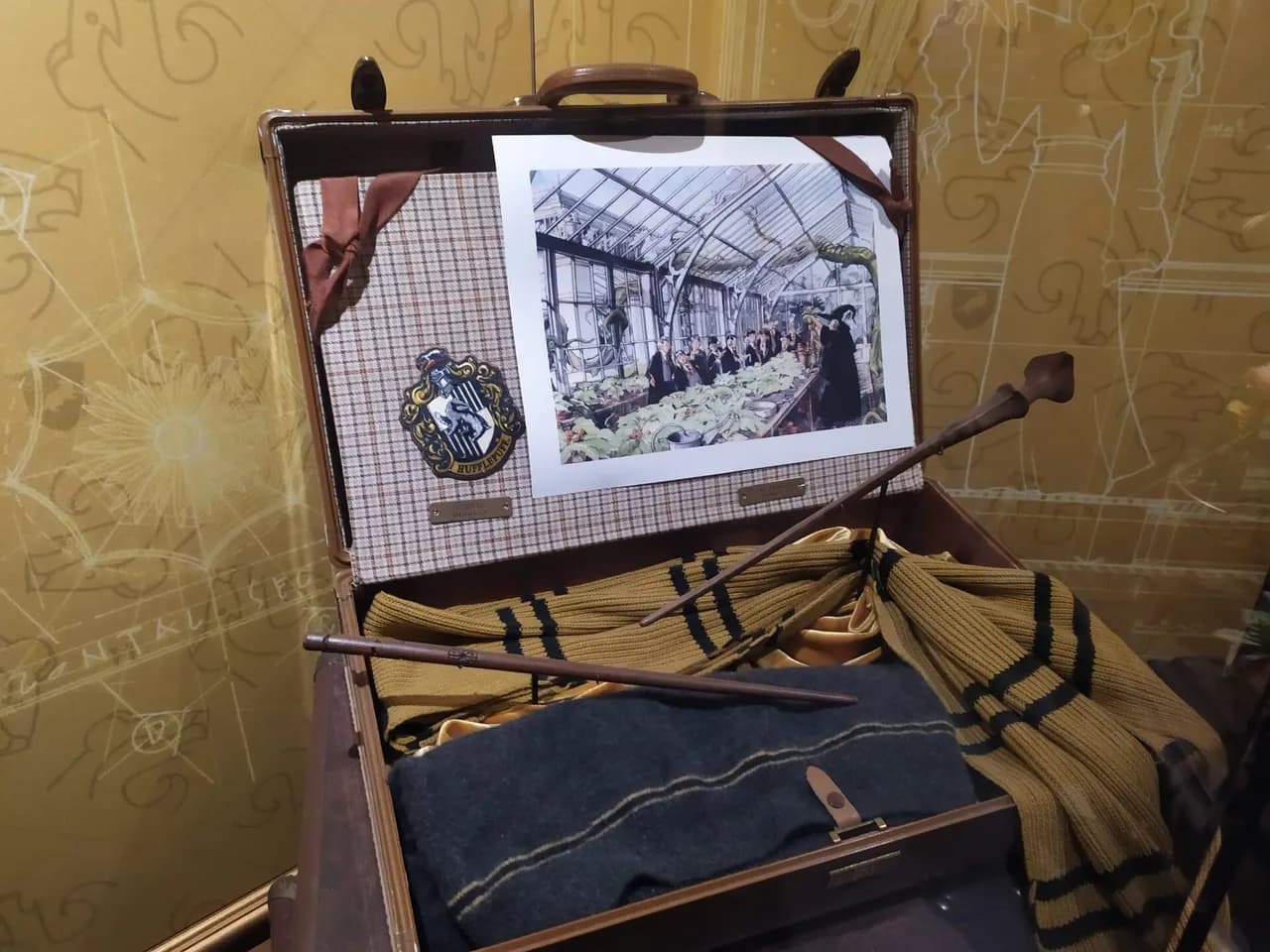 Harry Potter: Visions of Magic